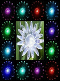 SUNFLOWER SUN FLOWER SOLAR GARDEN STAKE LIGHT DECOR NEW SET OF 2 DISCONTINUED Sunflower