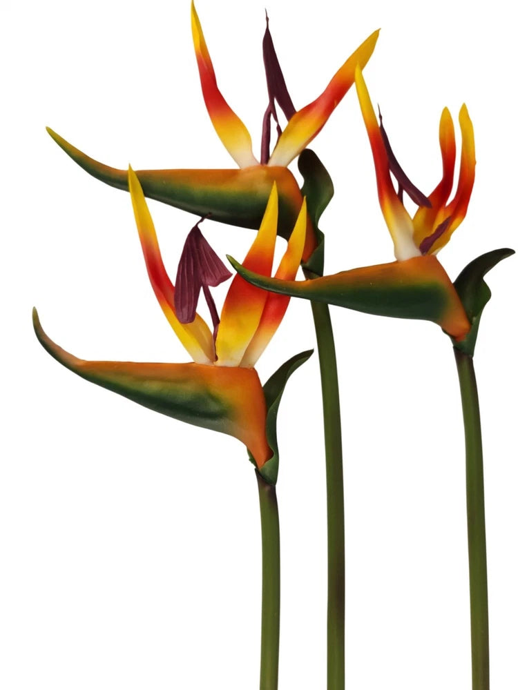 Artificial Bird of Paradise Flowers Set of 3 | Tropical Faux Floral Stems | Exot Flowering Plants