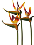 Artificial Bird of Paradise Flowers Set of 3 | Tropical Faux Floral Stems | Exot Flowering Plants