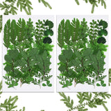 42 Pieces Dried Pressed Leaves for Resin Real Assorted Dried Greenery Dried Flower