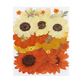 32 Pcs Dried Pressed Flower Leaves Bulk for Resin, Orange Yellow Dried Flower
