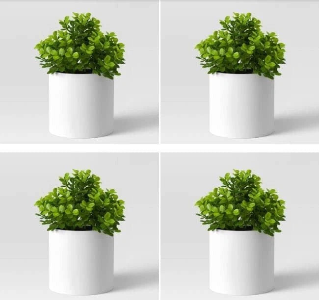 4 Pack Threshold - Faux Artificial Plants - 5" Mini Boxwood Green / White Pot Green Plant