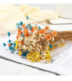 200 Stems Natural Dry Flowers Brazilian Small Dried Daisies Decorative ... Dried Flower