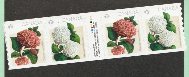 2016 - #2898ii Coil strip with gutter. Hydrangeas flowers MNH Cv$12.50 Hydrangea