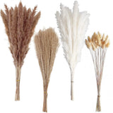100 PCS Small Boho Pampas Grass 17" Naturally Dried Pompas Pampas Grass Decor... Pampas Grass