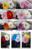 2 x Gerbera Daisy Car Flower for VW Beetle Bug Dash Vase 'You Pick the Colours' Daisies