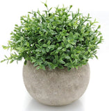 Sage Green Artificial Topiary Plant Potted 5.6" Decor Green Plant