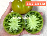 50+ Seeds Myrtle Green  Tomato Easy Vegetable Garden Planting Edible Garden Plants