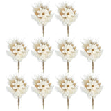 10 Pcs Mini Pampas Grass Dried Flower Bouquet Gypsophila Boho Gift White Dried Flower