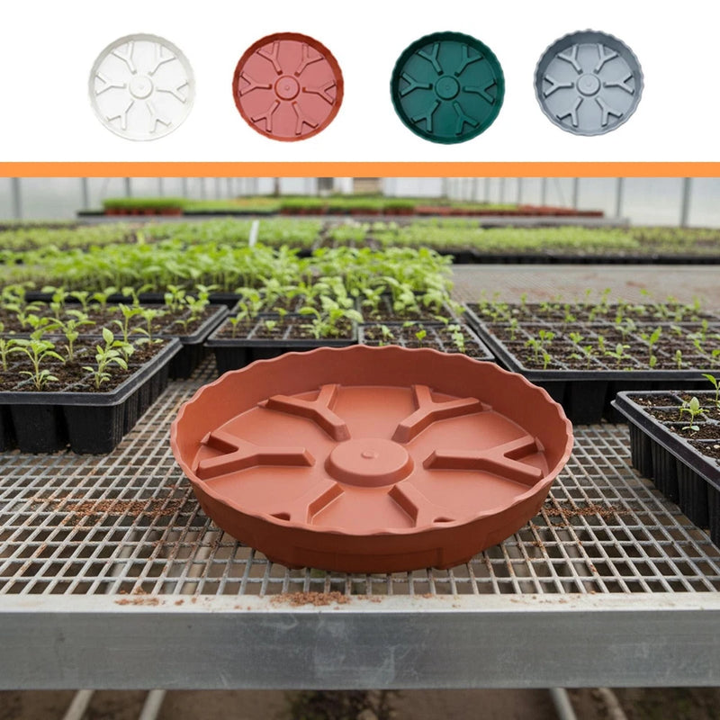 Terracotta red wavy-edged plant saucer with raised support ridges