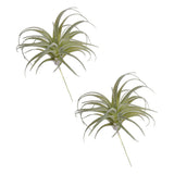 2Pcs Artificial Succulent Plants Fake Pineapple Grass 5" Light Green Green Plant