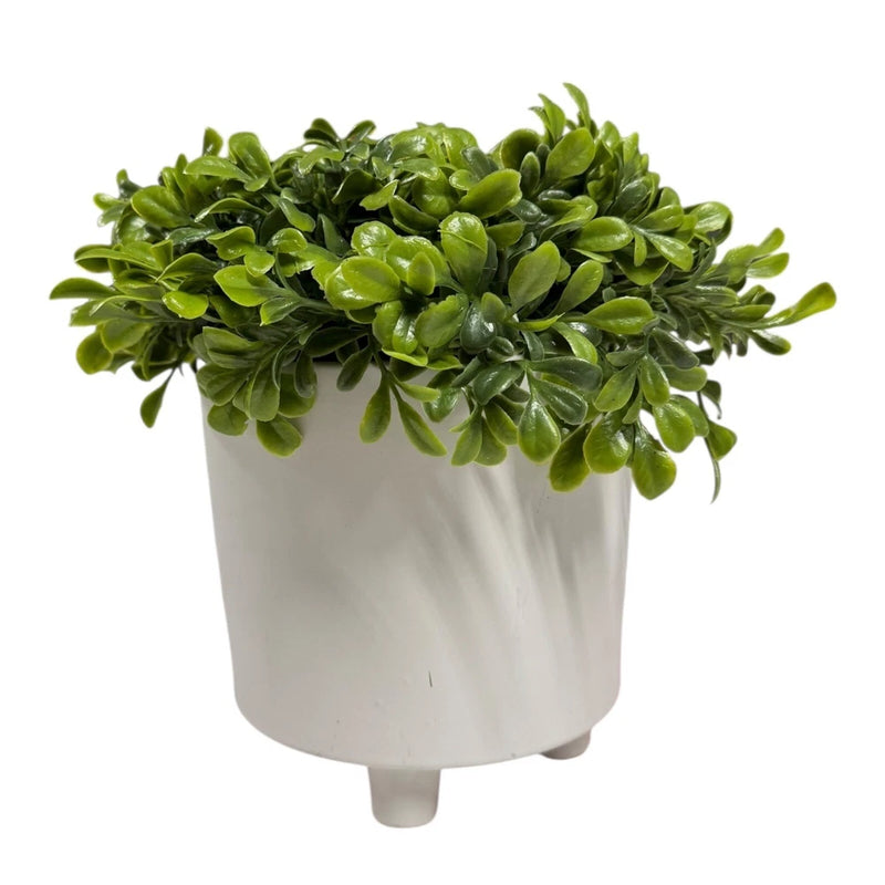 Small faux boxwood topiary in white pot, dense green leaves