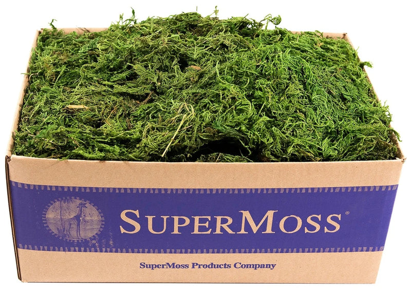Supermoss Fresh Green Forest Moss Bulk 3 Lb For Gardens Baskets Decor Green Plant
