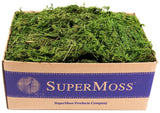 Supermoss Fresh Green Forest Moss Bulk 3 Lb For Gardens Baskets Decor Green Plant