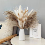 Pampas Grass, 70Pcs Dried Pampas Grass Boho Decor Plant 17" Flower Pompous Grass Pampas Grass
