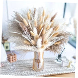 150PCS Natural Pampas Grass Bouquet |Mix Dried Flowers Bouquet for Wedding Pampas Grass