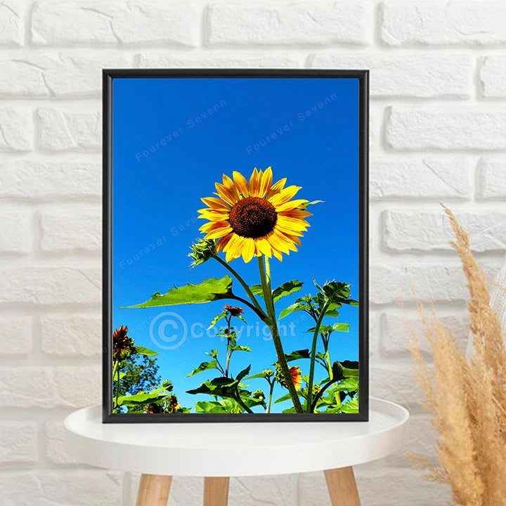 Framed sunflower digital photo print with bright yellow flowers and green leaves