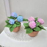 1/6 Scale Miniature Hydrangea Potted Plant  Blue or Pink Flower in TerracottaPot Hydrangea
