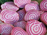CHIOGGIA BEET SEEDS 100+ survival GARDEN GROW healthy VEGETABLES FREE SHIPPING Garden Plants
