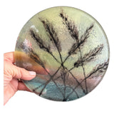 Fused Glass Pampas Grass at Sunset Art Glass 7Ó Plate Pampas Grass