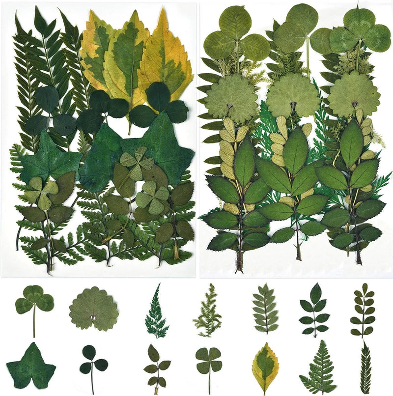 Pressed dried leaves set with assorted green foliage, flat craft pieces