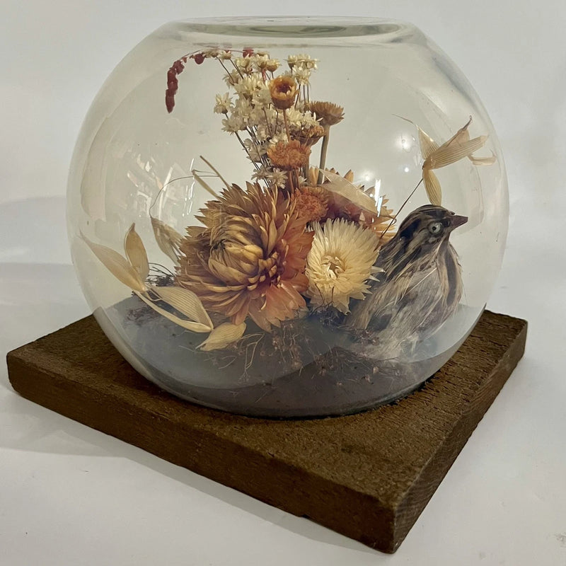 Vintage 60s Dried Flower Glass Terrarium Bird Floral Strawflower Daisy Bouquet Dried Flower