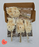 Mini Dried Flower Bouquets With Pampas Grass & Bunny Tails Set Pampas Grass