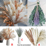 Natural Dried Flower Bouquet Pampas Grass Bunny Tails Eucalyptus Lavender Wheat Pampas Grass
