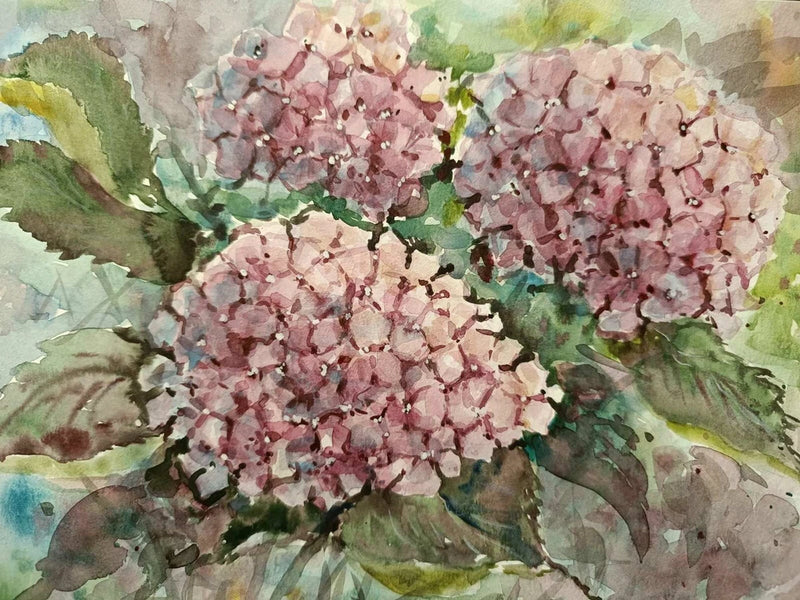 Original Artwork Painting Flowers TENDER HYDRANGEA BLOSSOM Floral Arts Gift A4 Hydrangea