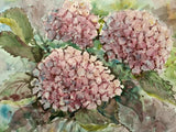 Original Artwork Painting Flowers TENDER HYDRANGEA BLOSSOM Floral Arts Gift A4 Hydrangea
