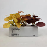 Ikea Fejka 3 Artificial Potted Plants Dried Style 5.5" with Pot Flower Mix Dried Flower