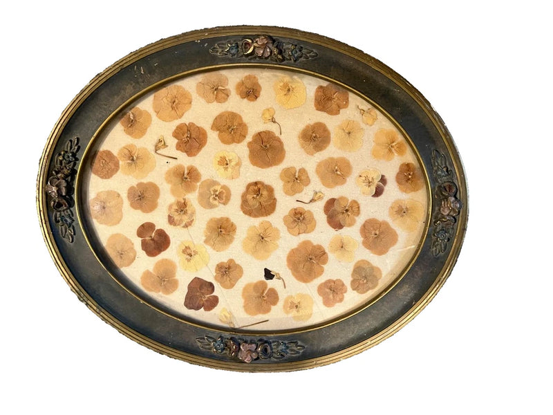 Oval gold-toned wall hanging with real pressed brown flowers under glass