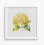 Framed Yellow Hydrangea Art Print 12x12" White Wooden Frame Watercolor Style NEW Hydrangea