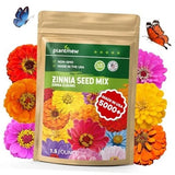 5000+ Zinnia Seeds Flower Seeds for 2026 Planting, 1.5 Oz, 5 1.5 Ounce Pouch Flowering Plants