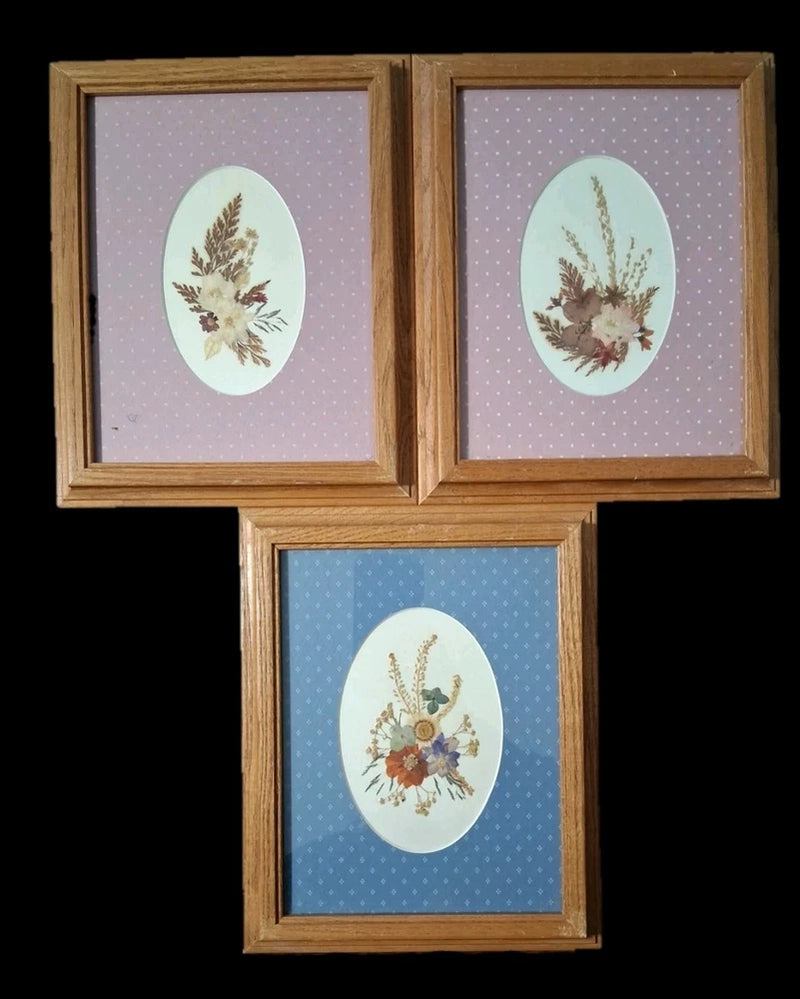 Wood framed pressed flower floral art set of 3, oval botanical specimens