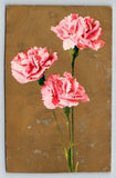Vintage Embossed Die Cut Pink Carnations Floral Postcard Antique Flowers Carnation