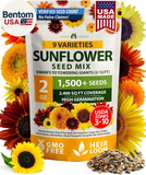 Sunflower Seeds Mix Pack 1,500+ 9 Colorful Varieties of Sun Flower Seeds to Plan Sunflower