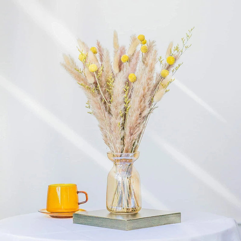 Decaux 42 Pcs Natural Dried Pampas Grass - Thanksgiving Table Decor - Boho Pampas Grass