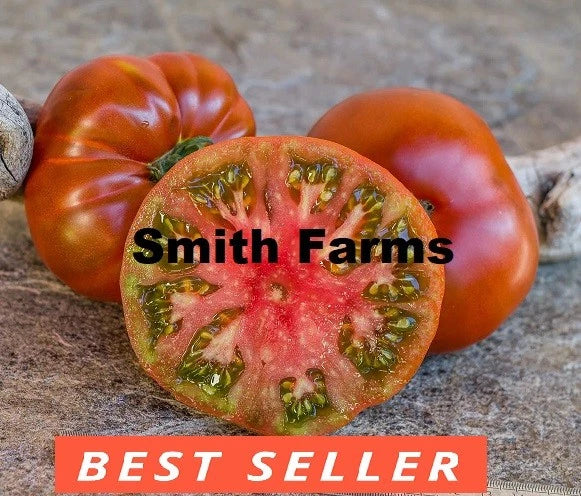 50+ Seeds Tasmanian Chocolate Tomato Vegetable Garden Planting Tomatoes Garden Plants