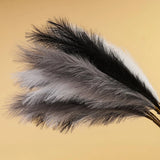 Pampas Grass Decor Tall 6 Pcs 44''/3.7ft Fluffy Large Pompas Grass for Floor ... Pampas Grass
