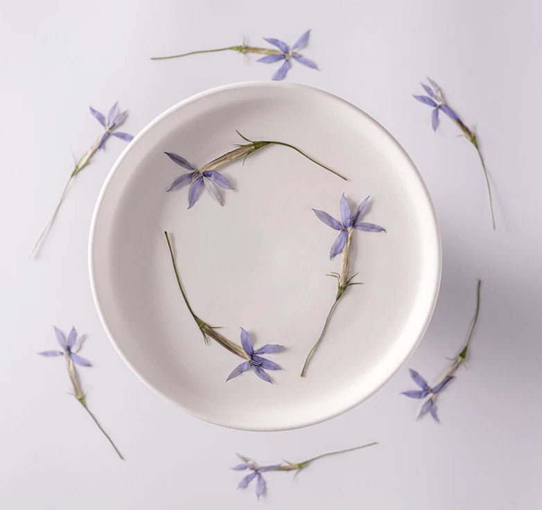 Pressed star flower set (12), blue-purple petals, scattered around a plate