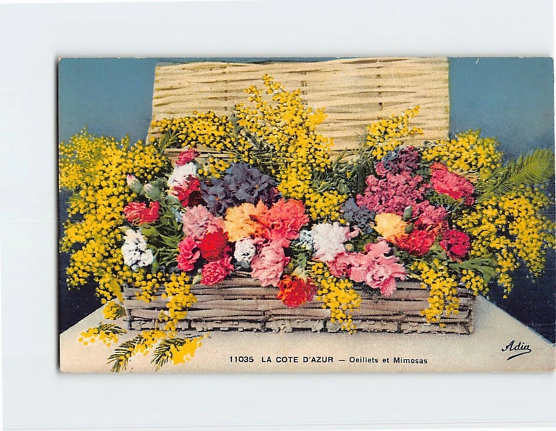 Postcard Carnations and Mimosas Flower Art Print Carnation