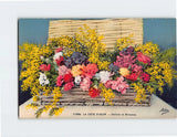 Postcard Carnations and Mimosas Flower Art Print Carnation