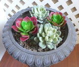 Set of 4 Artificial Succulents Plants Snow Ball With Red Lotus Green Plant
