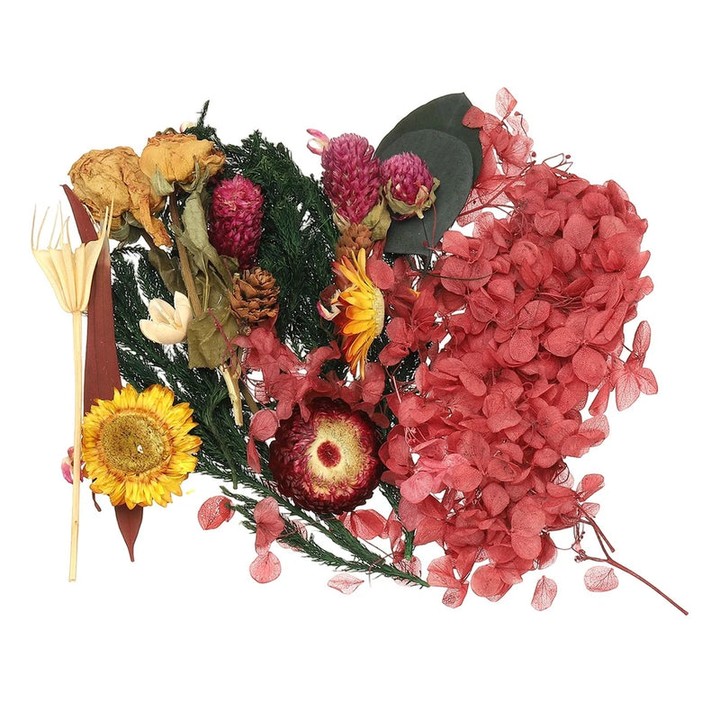 NaturalÊDriedÊFlowerÊSet,ÊDriedÊPressedÊFlowers (Orange+Purple) Dried Flower