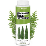 Arborvitae Tree Fertilizer for All Arborvitaes, Evergreen Shrubs and Thuja Trees Green Plant