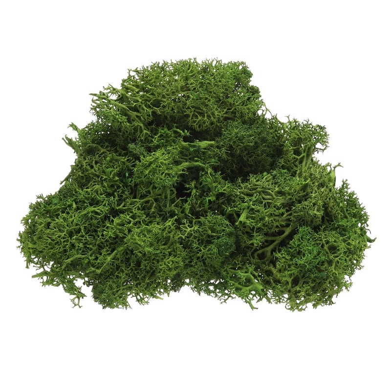 Preserved Reindeer Moss 4 OZ Fake Moss for Crafts (Green) Green Plant