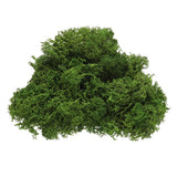 Preserved Reindeer Moss 4 OZ Fake Moss for Crafts (Green) Green Plant