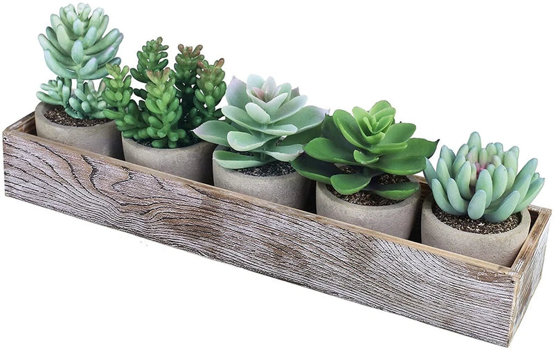 Assorted small succulent plants in a rustic rectangular wooden planter