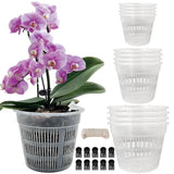 Orchid Pot, 12 Pack Orchid Pots with Holes, 4 Each of 4.5", 5.5", 6.3", Clear... Orchids